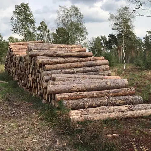 Gekapte houten bomen
